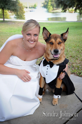 Best Winter Park Civic Center Wedding Photos - Sandra Johnson (SJFoto.com)